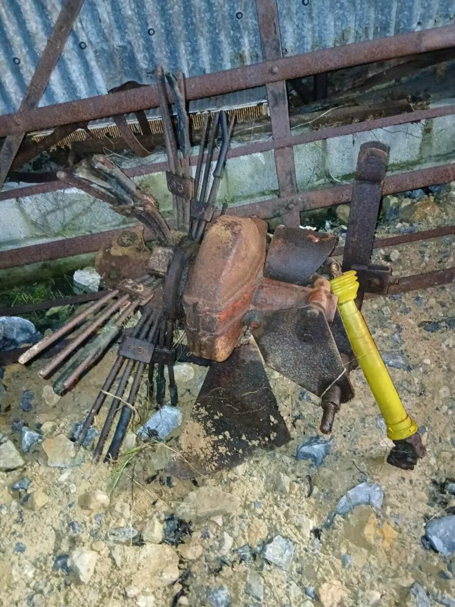 Potato digger - Image 2