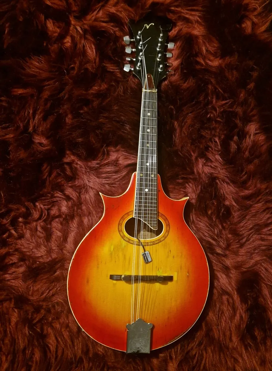 Mandolin & Mandola - Image 3