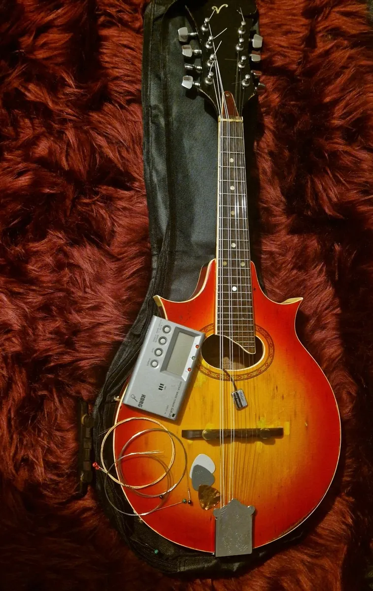 Mandolin & Mandola - Image 1