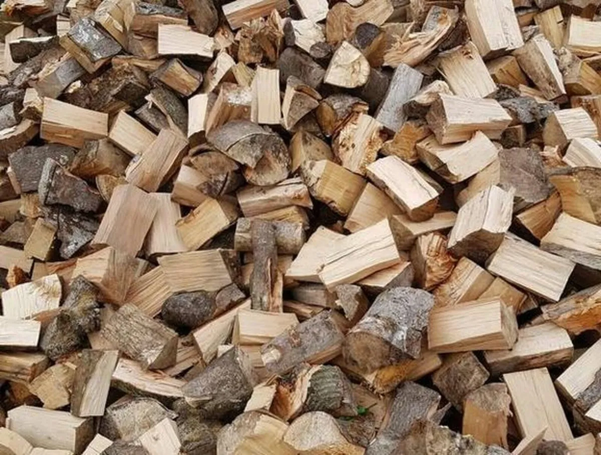 Bulk Softwood Firewood 70 per Tonne Bag - Image 2