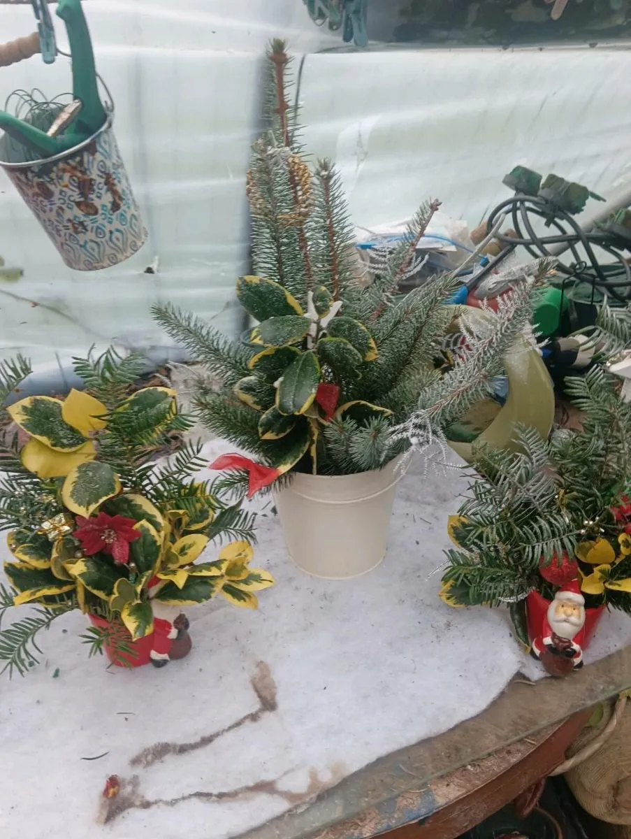 Beautiful Santa pots ,2 for 10 euro - Image 1