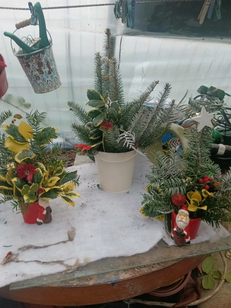 Beautiful Santa pots ,2 for 10 euro - Image 2