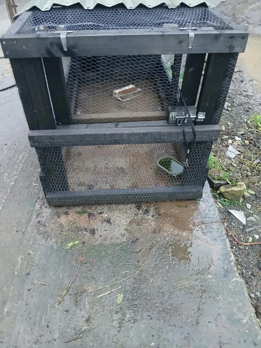 Poultry coop - Image 1