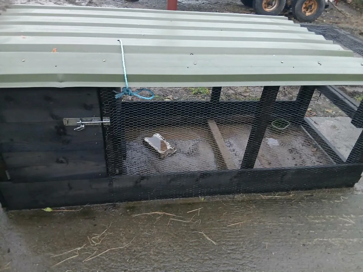 Poultry coop - Image 2