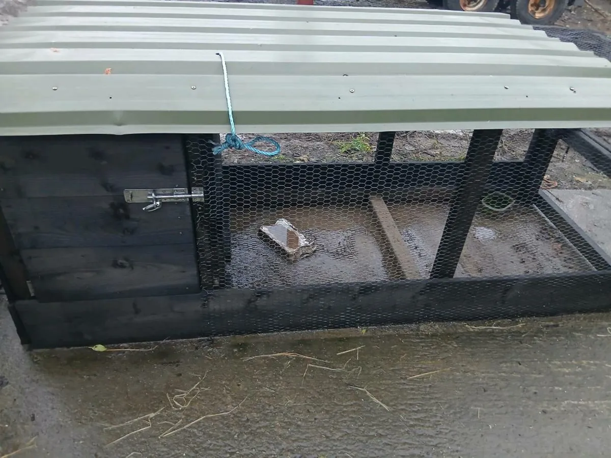 Poultry coop - Image 3