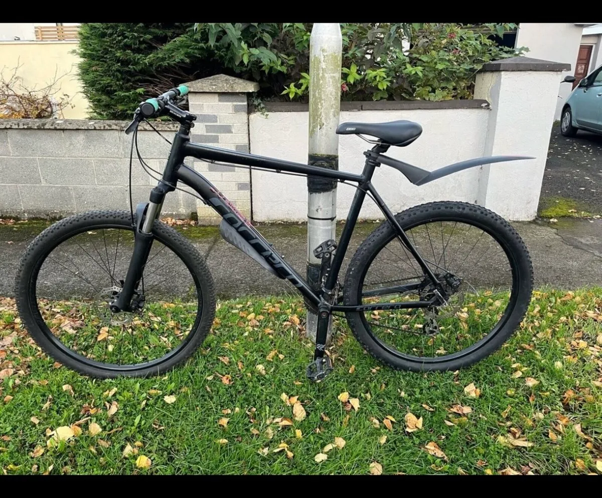 Carrera vengeance - Image 1