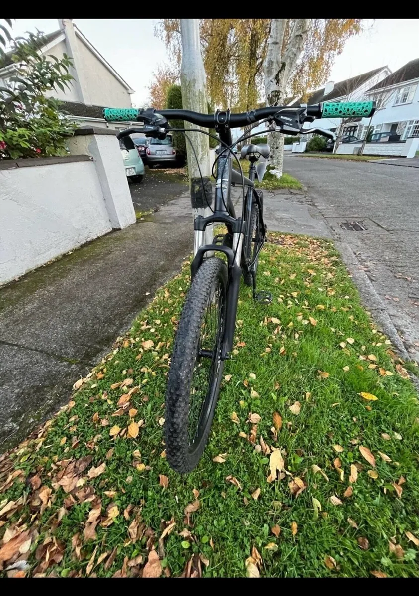 Carrera vengeance - Image 2