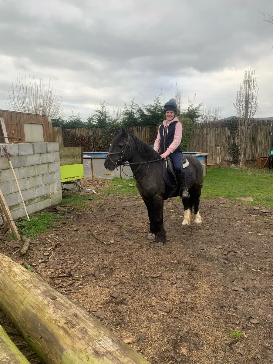 13hh kids pony - Image 1