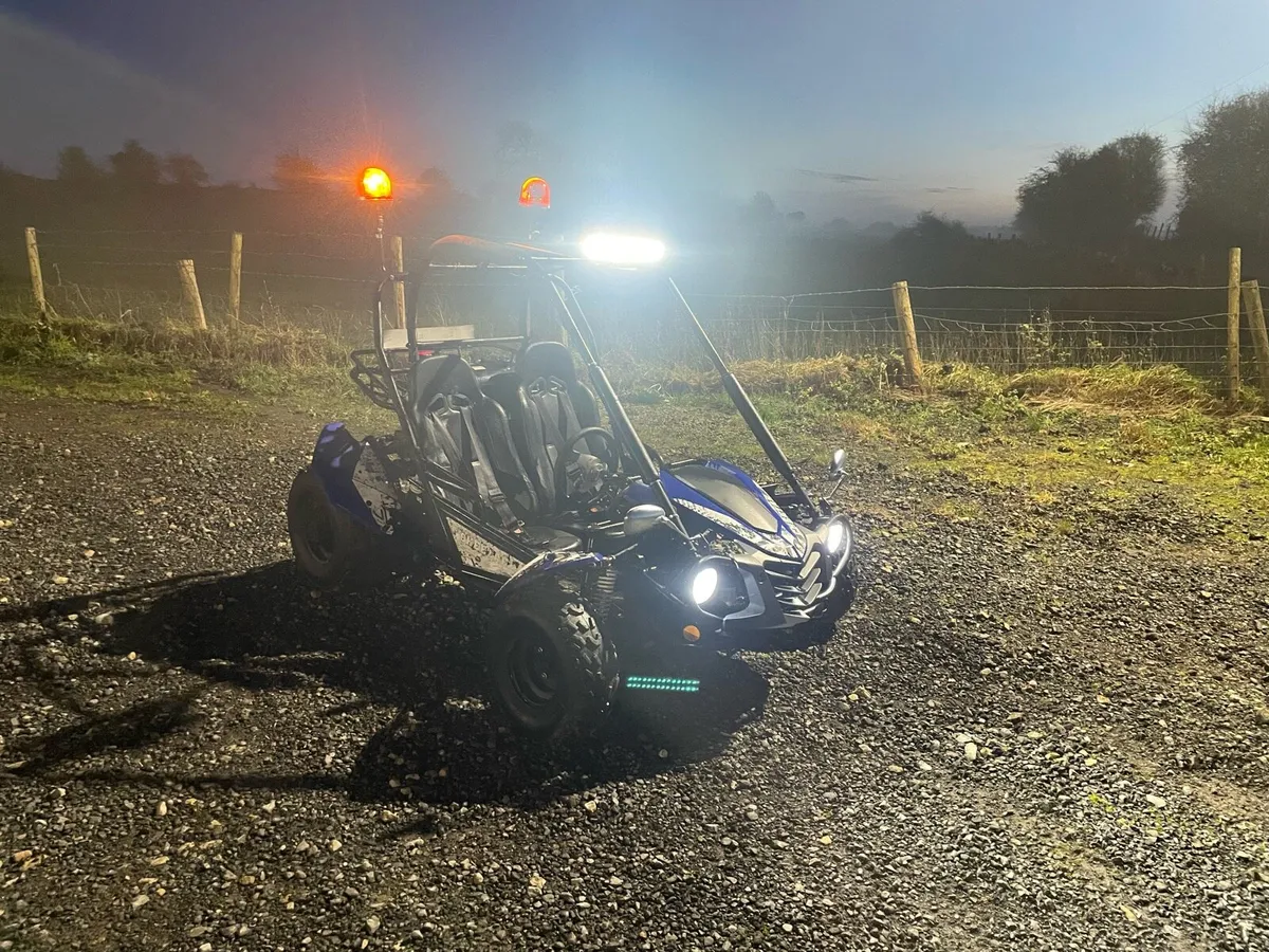 Quadzilla Buggy - Image 1