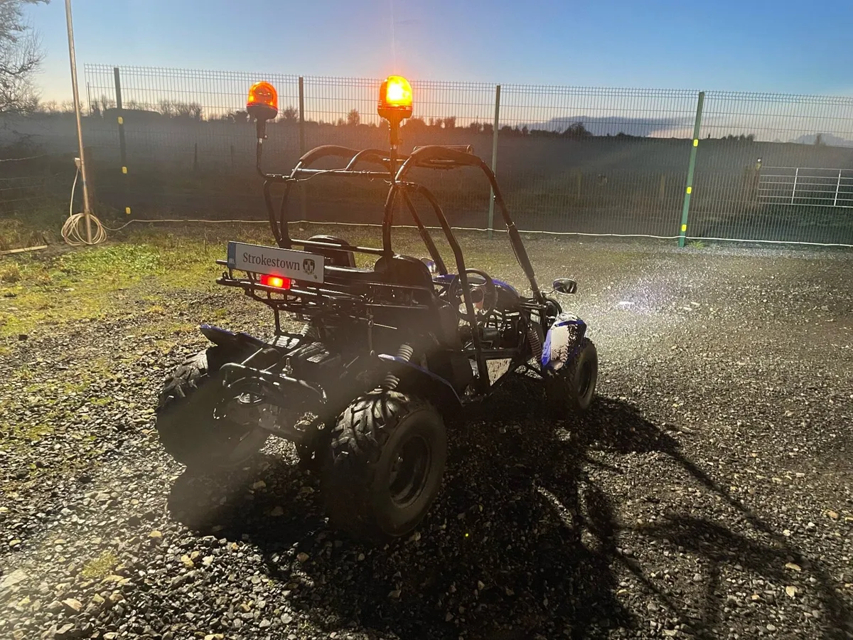 Quadzilla Buggy - Image 2