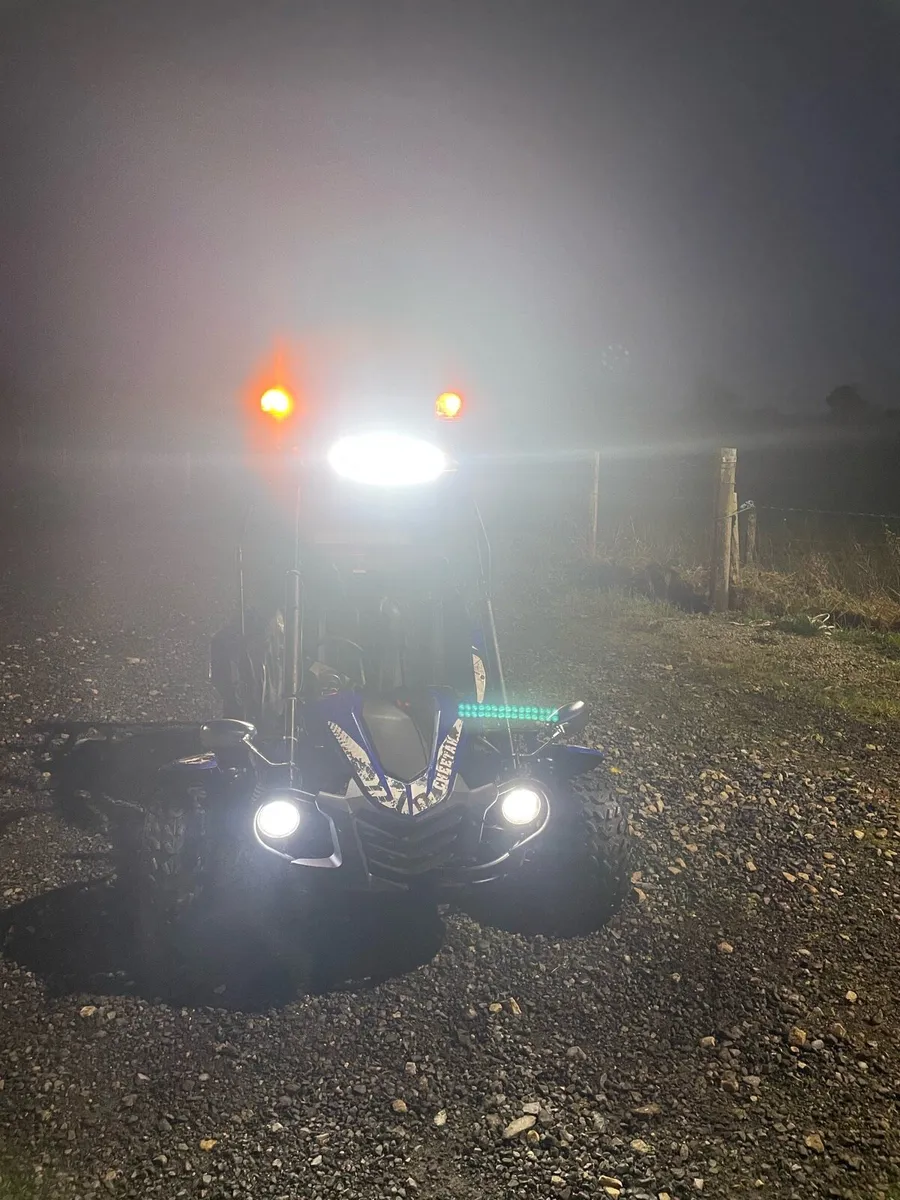 Quadzilla Buggy - Image 3