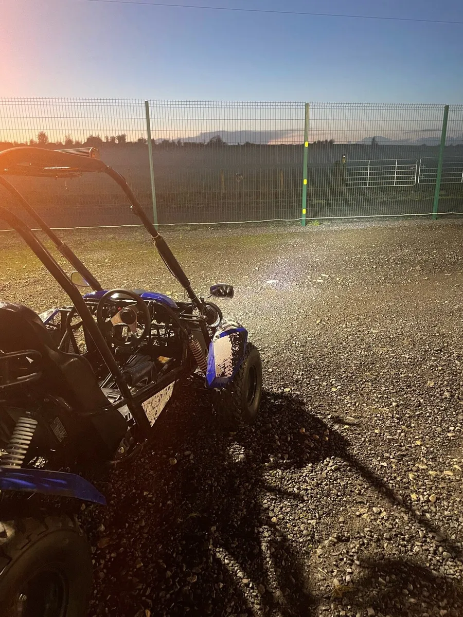 Quadzilla Buggy - Image 4