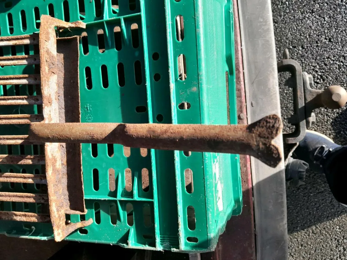 Old cast iron griddle - Image 2