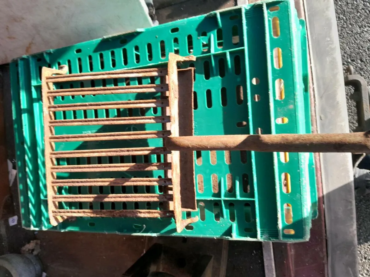 Old cast iron griddle - Image 4