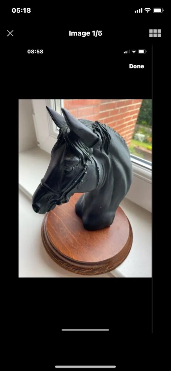 Vintage Horse Head Display - Image 1