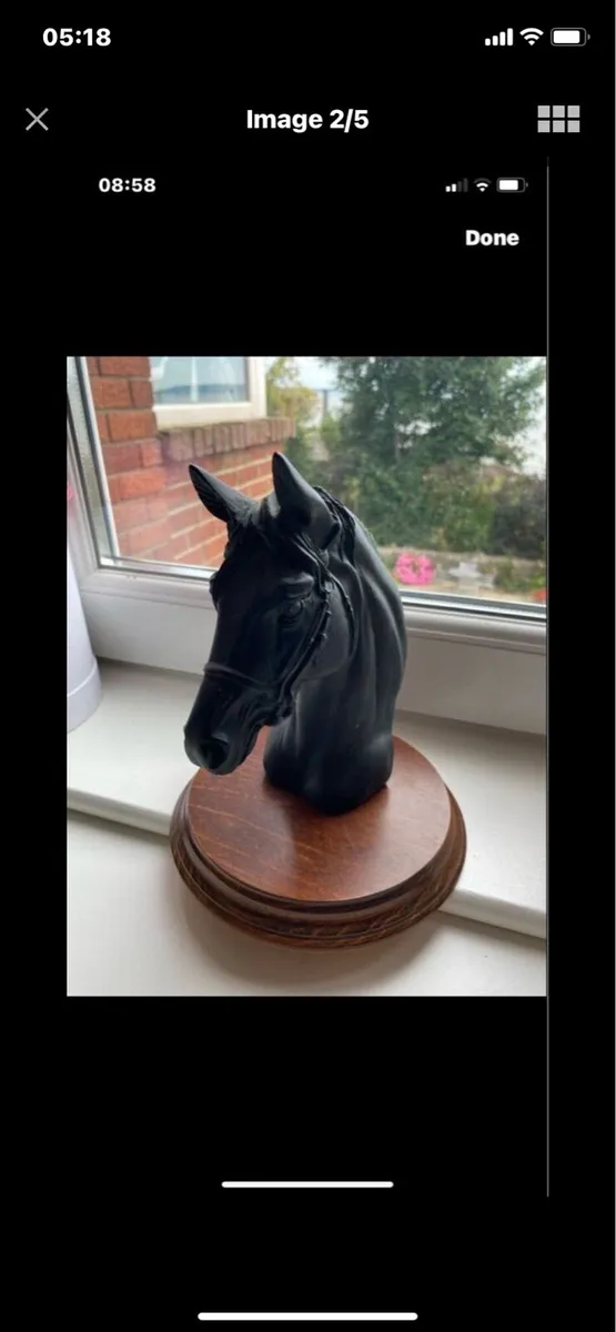 Vintage Horse Head Display - Image 2