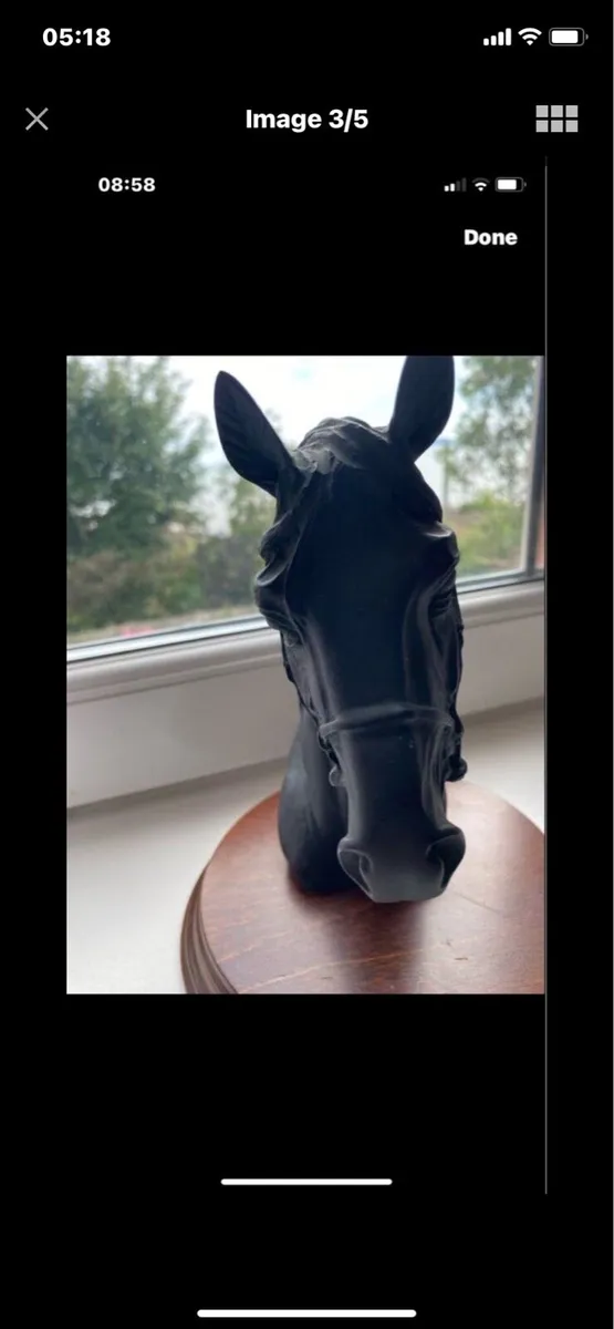 Vintage Horse Head Display - Image 3