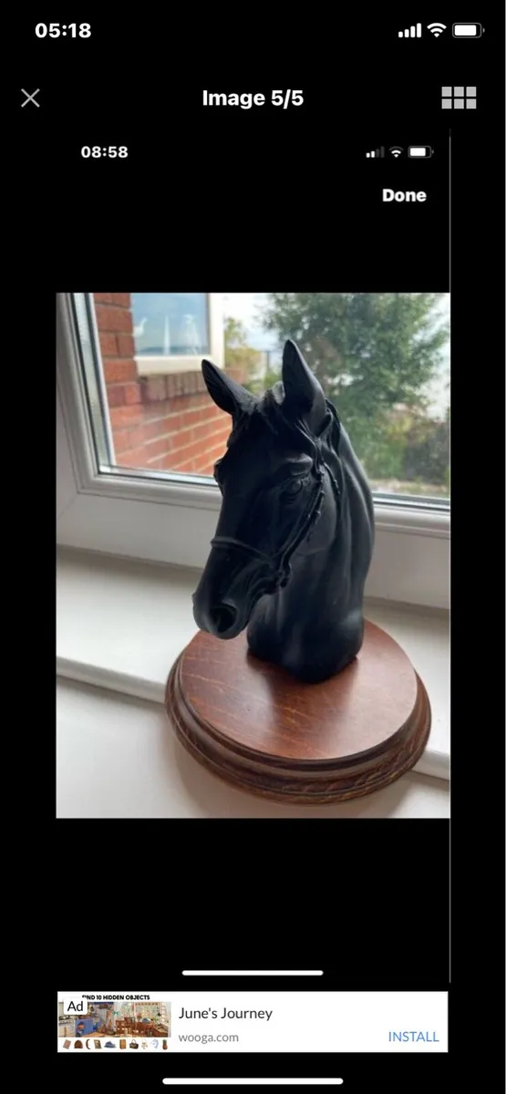 Vintage Horse Head Display - Image 4