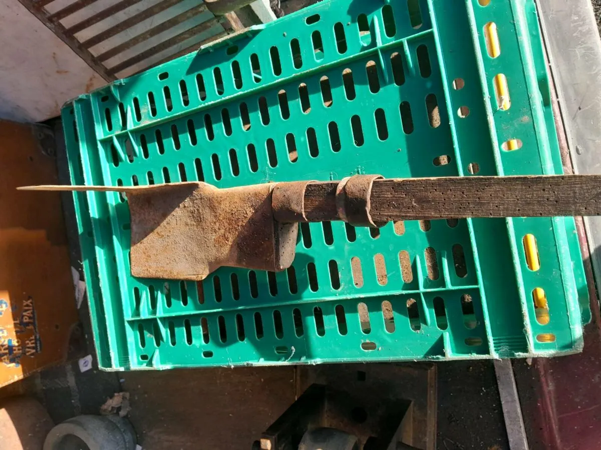 Old Irish slane - Image 1