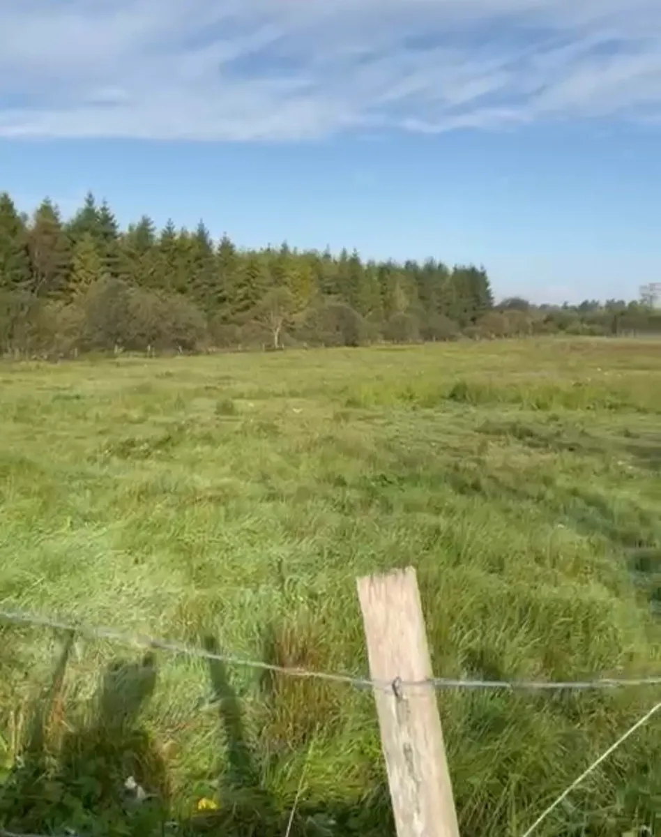 Land For Sale 5 Acres - Image 1