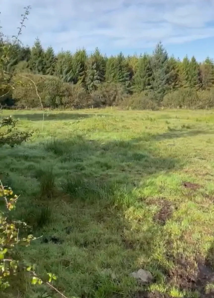 Land For Sale 5 Acres - Image 2