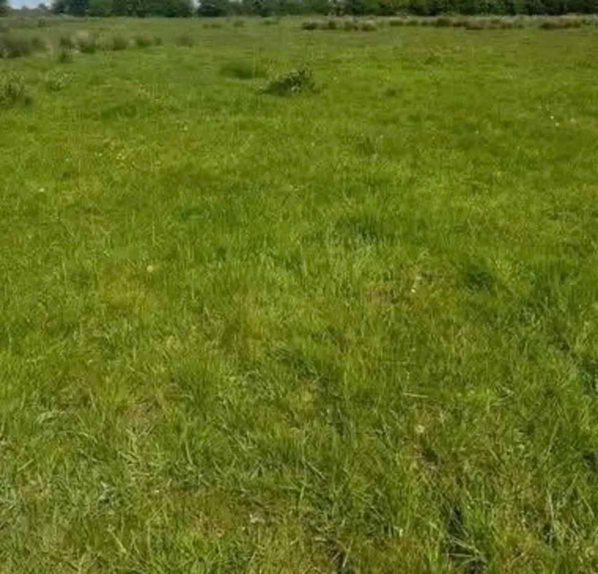 Land For Sale 5 Acres - Image 3