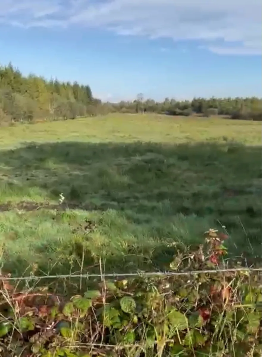 Land For Sale 5 Acres - Image 4