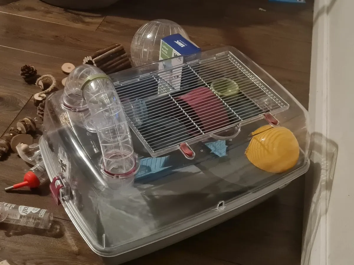 Hamster Cage, ball, and accessories - Image 2