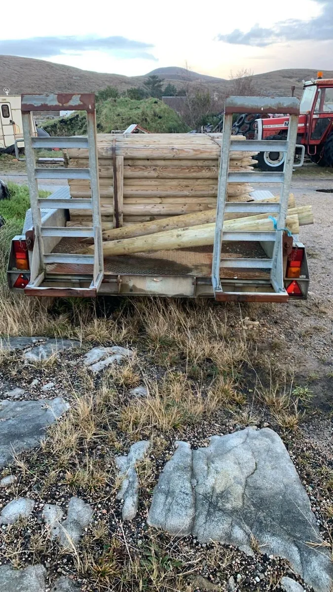 2 plant trailers - Image 3