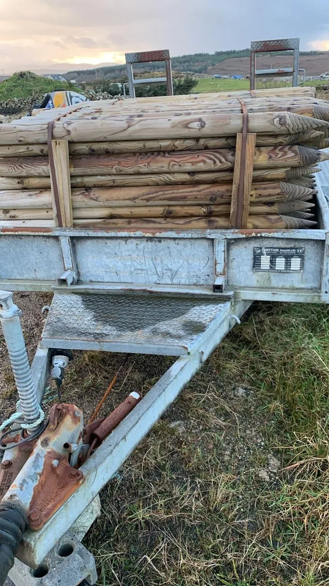 2 plant trailers - Image 4