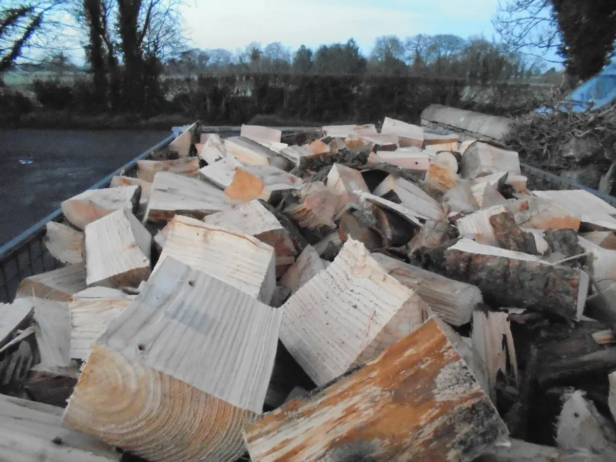 FIREWOOD - Image 2