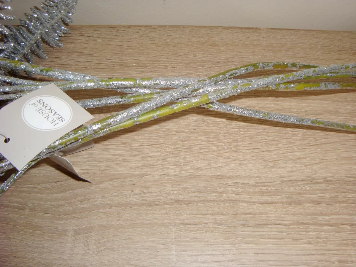 Silver fern stems picks - set of 5 - Image 3