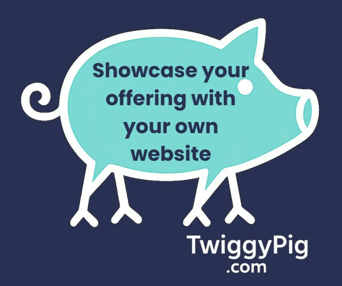 New Website - Get online in 5 working days - Image 4