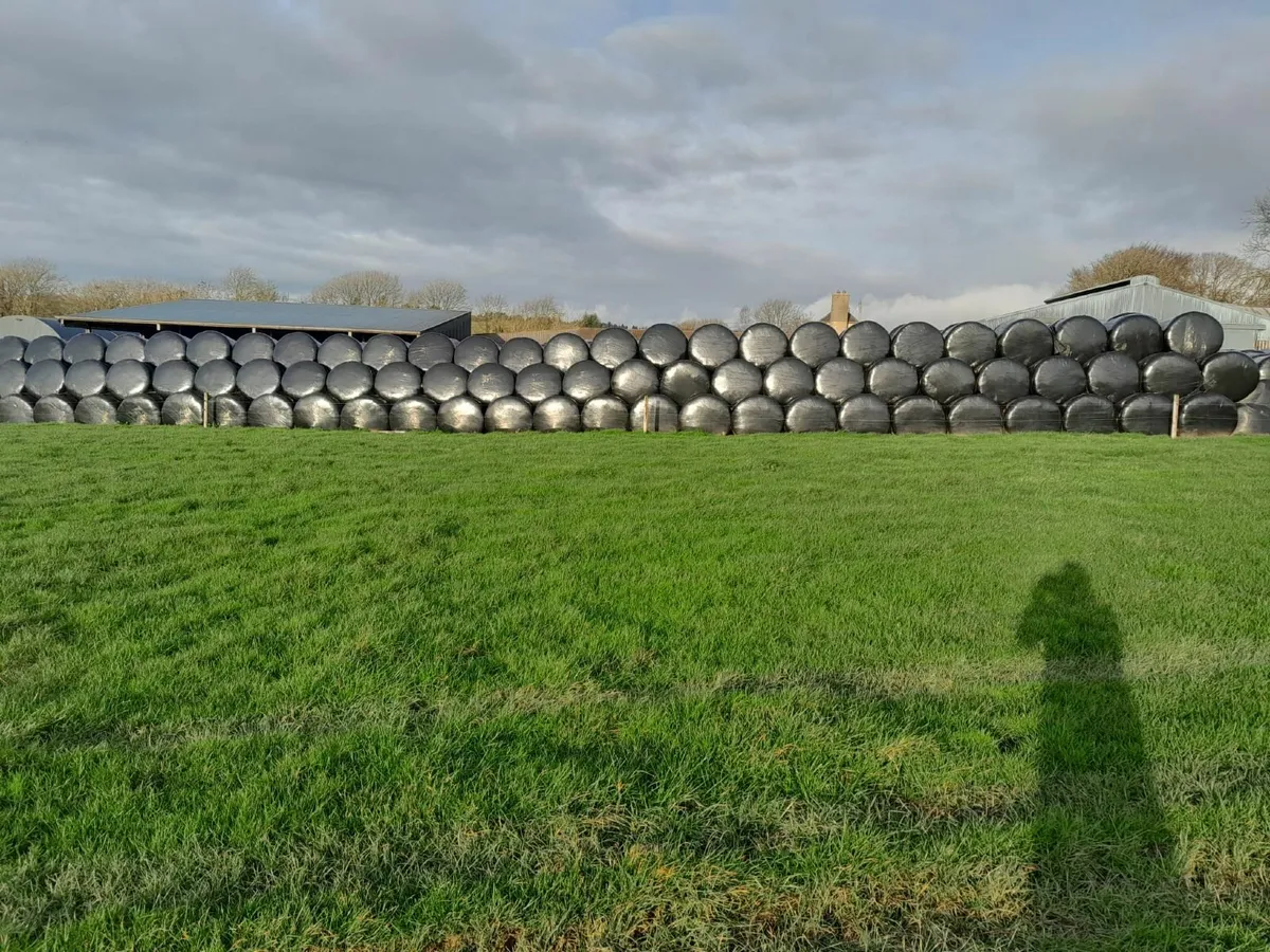 Silage & straw for sale - Image 1