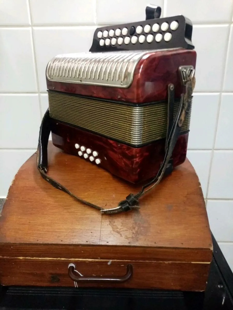 HOHNER Black Dot Double-Ray Accordion - Image 1