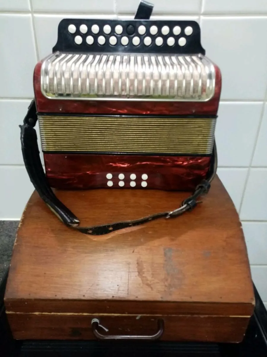 HOHNER Black Dot Double-Ray Accordion - Image 2