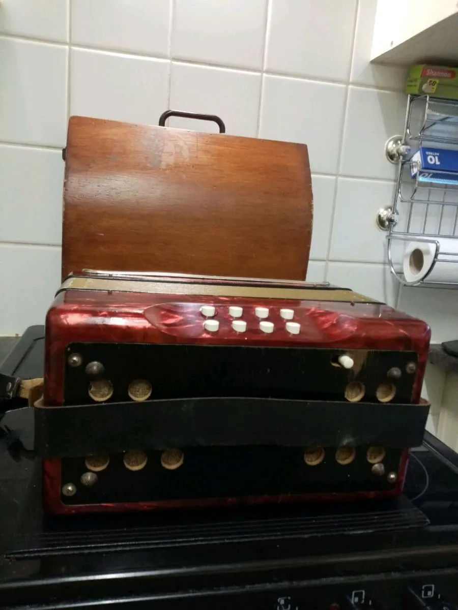 HOHNER Black Dot Double-Ray Accordion - Image 3