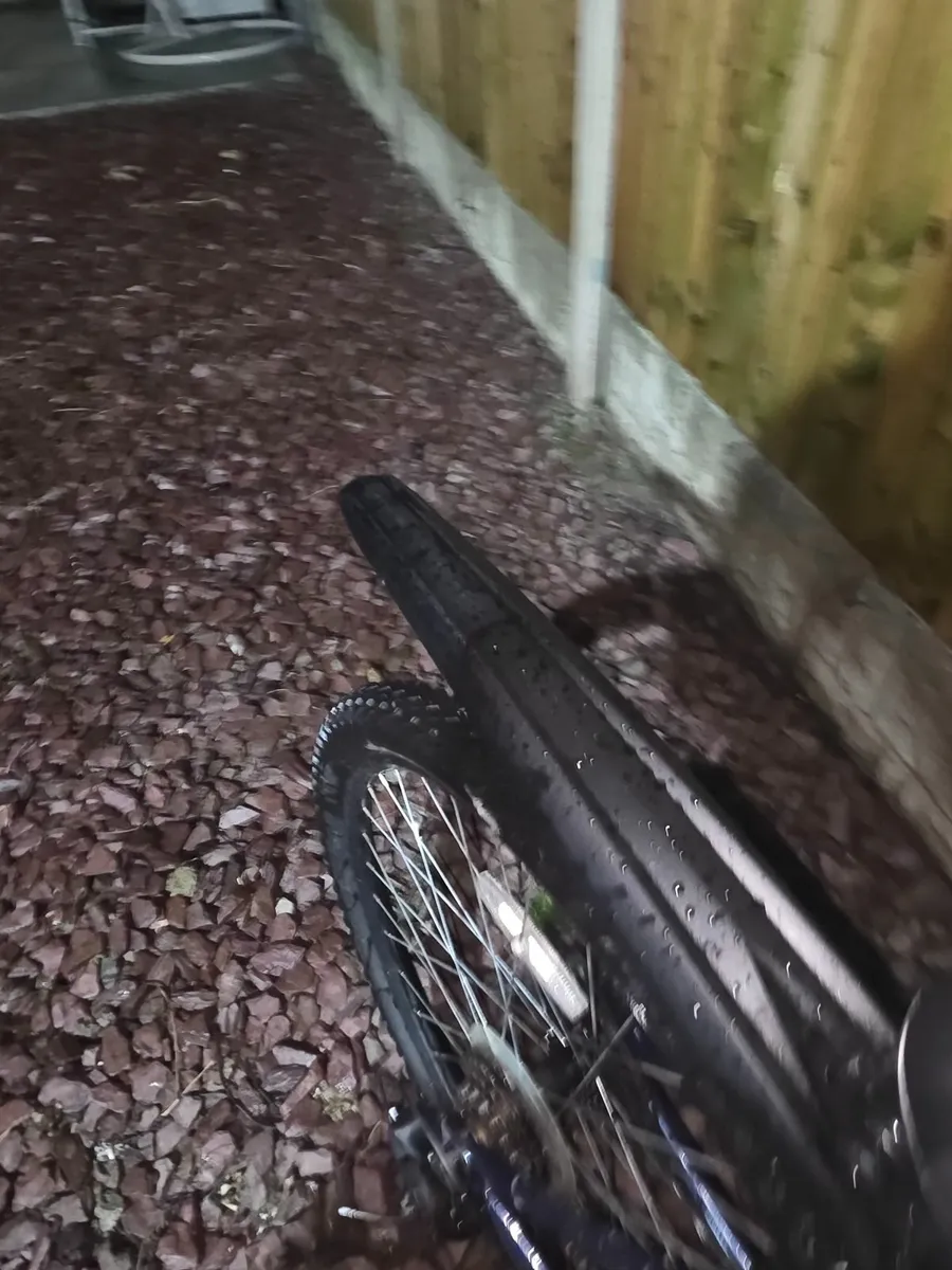 Apollo Evade Medium Bike - Image 2