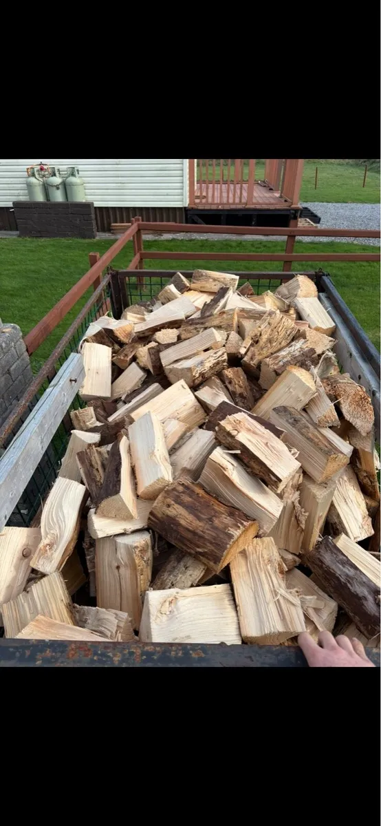 Firewood - Image 1