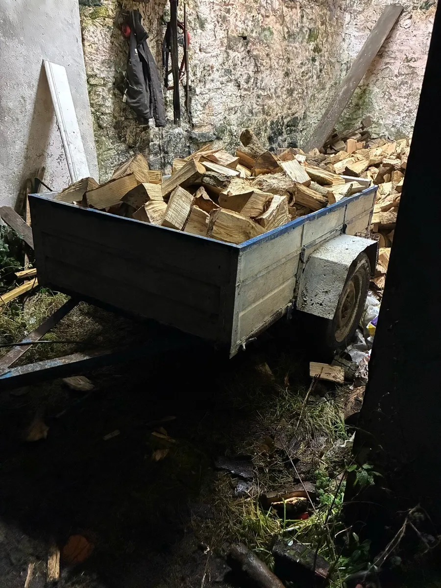 Ash Firewood - Cahir area - Image 3