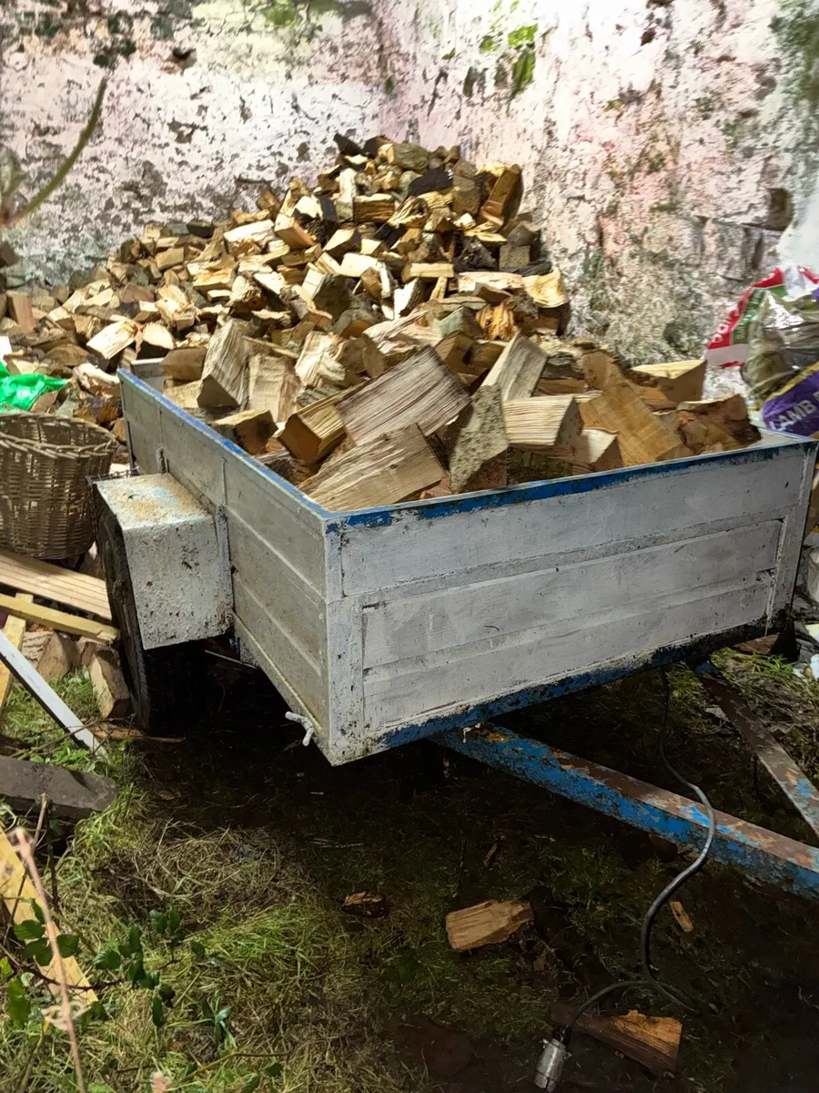 Ash Firewood - Cahir area - Image 2