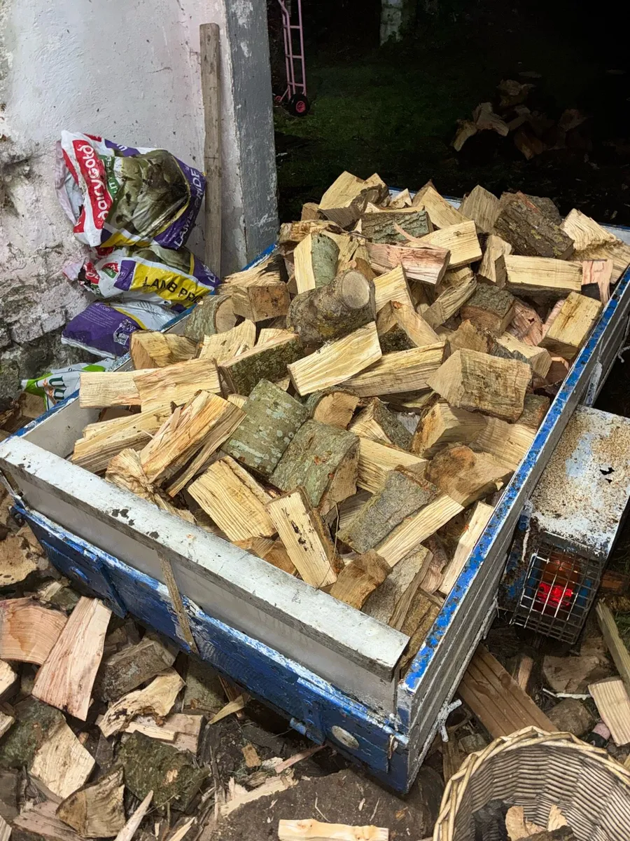Ash Firewood - Cahir area - Image 1