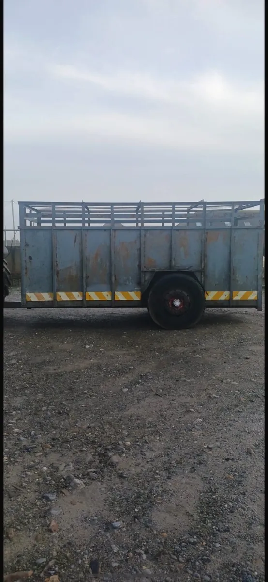 Cattle Trailer 14Ft x 6Ft - Image 1