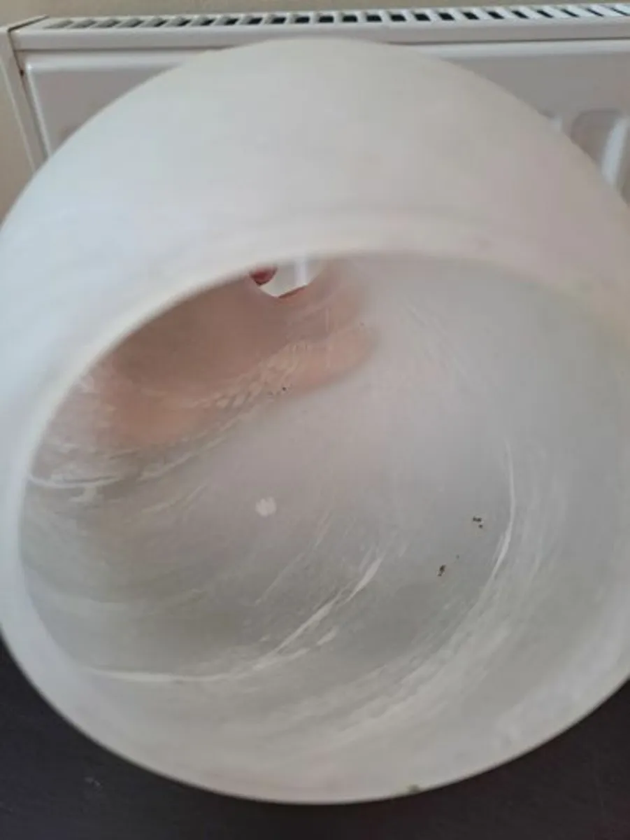 Vintage frosted Lamp shade - Image 2