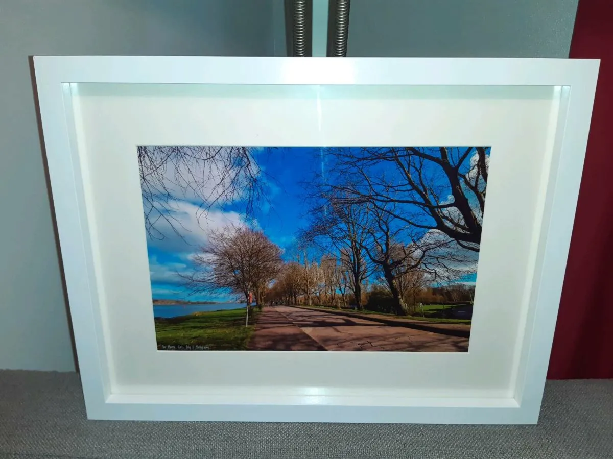 The Marina, Cork - Image 4