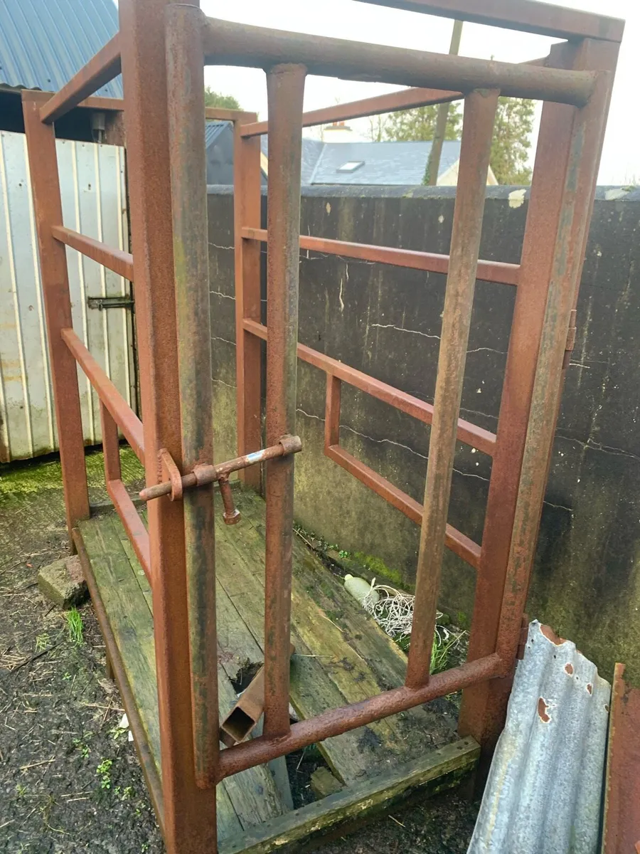 Mobile crush - Image 4