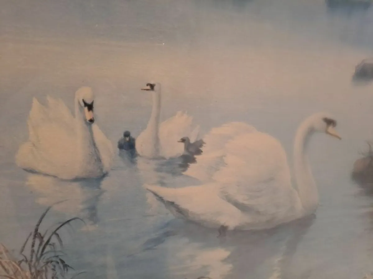 Gilt Frame with glass and black velvet - Image 4