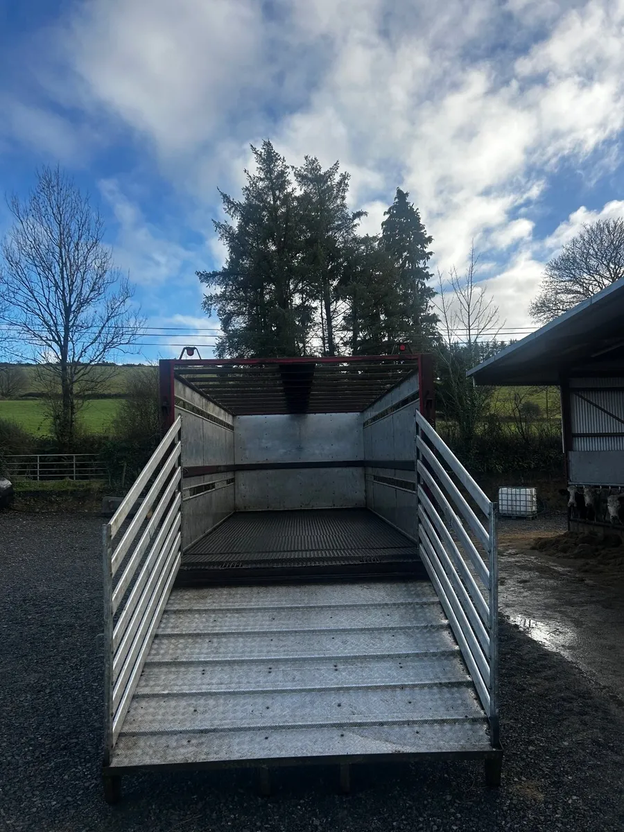 Cattle Trailer - Image 4