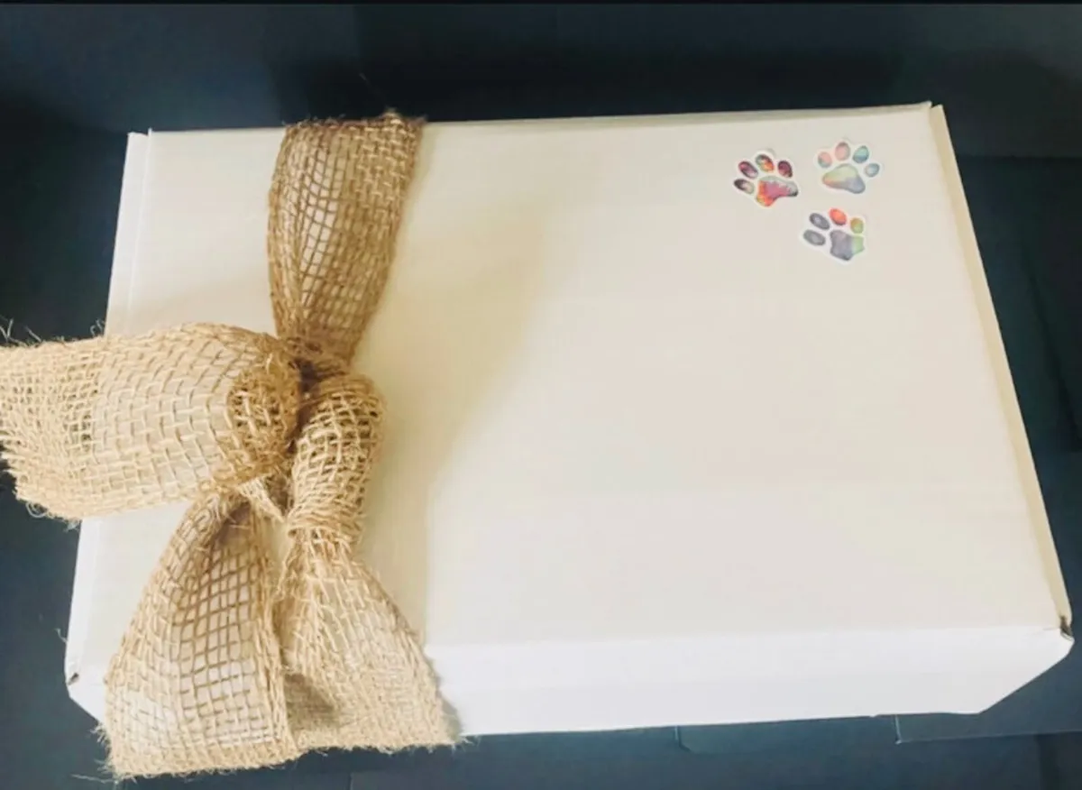 The ‘Bling’ Dog Walkers Gift Set - Image 3