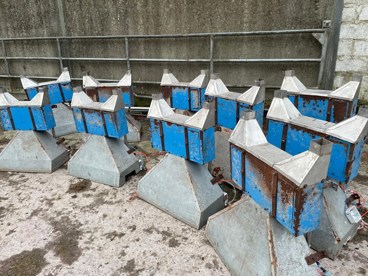 Cashman Air Feeders - Image 1